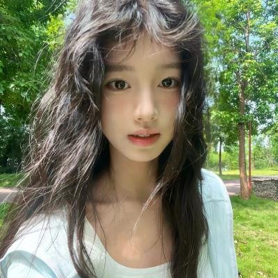 总统的分析
